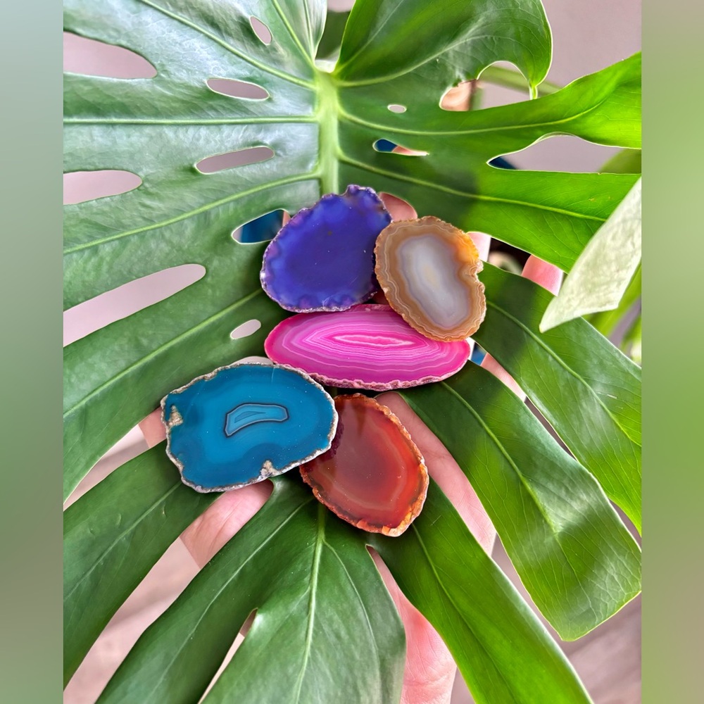 Agate Magnets (one)